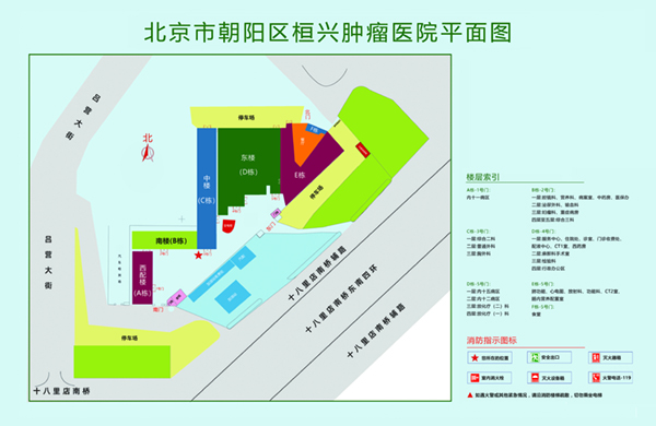 大鸡巴操啊操逼视频北京市朝阳区桓兴肿瘤医院平面图